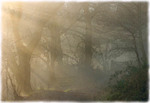 print of Kingswood II, Somerset.