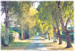 print of Reservoir Way