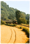 print of West Somerset Railway I